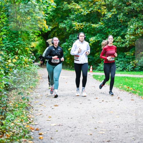 12.10.2025 - Bramfelder Halbmarathon 2025 Dr. Thomas Lammeyer http://msf.ph/oto/9359900 12.10.2025 11:09:54 Laufen 2244, 2332, 50 meine-sportfotos.de