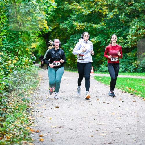 12.10.2025 - Bramfelder Halbmarathon 2025 Dr. Thomas Lammeyer http://msf.ph/oto/9359901 12.10.2025 11:09:54 Laufen 2244, 2332, 2750 meine-sportfotos.de