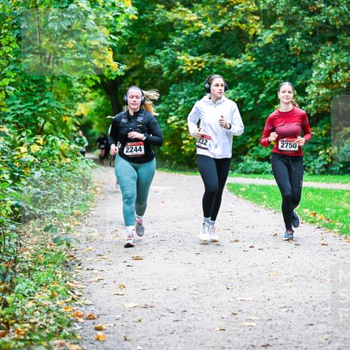 12.10.2025 - Bramfelder Halbmarathon 2025 Dr. Thomas Lammeyer http://msf.ph/oto/9359903 12.10.2025 11:09:54 Laufen 2244, 332, 2750 meine-sportfotos.de