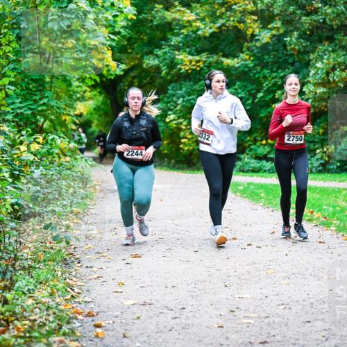 12.10.2025 - Bramfelder Halbmarathon 2025 Dr. Thomas Lammeyer http://msf.ph/oto/9359904 12.10.2025 11:09:54 Laufen 2244, 2332, 2750 meine-sportfotos.de