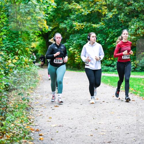 12.10.2025 - Bramfelder Halbmarathon 2025 Dr. Thomas Lammeyer http://msf.ph/oto/9359905 12.10.2025 11:09:55 Laufen 2244, 32, 2750 meine-sportfotos.de