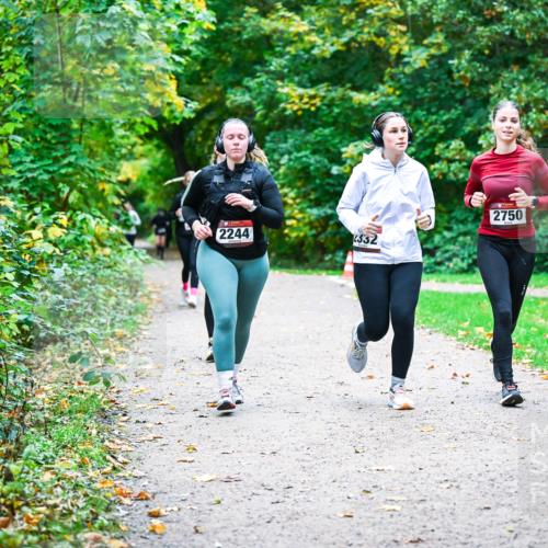 12.10.2025 - Bramfelder Halbmarathon 2025 Dr. Thomas Lammeyer http://msf.ph/oto/9359906 12.10.2025 11:09:55 Laufen 2244, 4332, 2750 meine-sportfotos.de