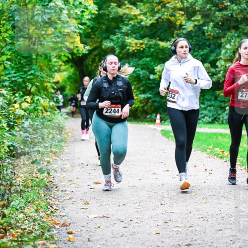 12.10.2025 - Bramfelder Halbmarathon 2025 Dr. Thomas Lammeyer http://msf.ph/oto/9359908 12.10.2025 11:09:55 Laufen 2244, 332, 2750 meine-sportfotos.de