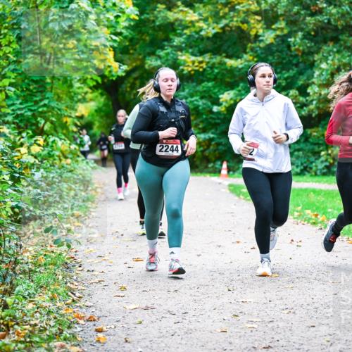 12.10.2025 - Bramfelder Halbmarathon 2025 Dr. Thomas Lammeyer http://msf.ph/oto/9359909 12.10.2025 11:09:55 Laufen 2244, 50 meine-sportfotos.de