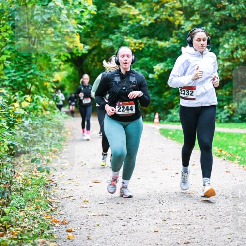 12.10.2025 - Bramfelder Halbmarathon 2025 Dr. Thomas Lammeyer http://msf.ph/oto/9359911 12.10.2025 11:09:56 Laufen 2244, 2332, 2750 meine-sportfotos.de
