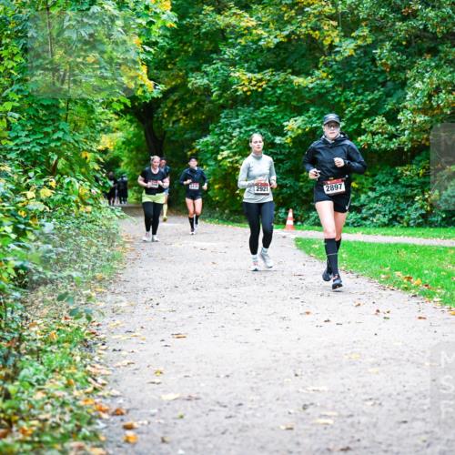 12.10.2025 - Bramfelder Halbmarathon 2025 Dr. Thomas Lammeyer http://msf.ph/oto/9359965 12.10.2025 11:10:06 Laufen 2438, 2921, 2897 meine-sportfotos.de