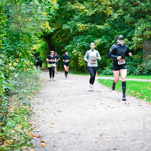 12.10.2025 - Bramfelder Halbmarathon 2025 Dr. Thomas Lammeyer http://msf.ph/oto/9359968 12.10.2025 11:10:07 Laufen 2921, 2897 meine-sportfotos.de