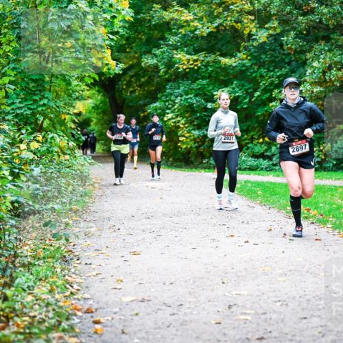 12.10.2025 - Bramfelder Halbmarathon 2025 Dr. Thomas Lammeyer http://msf.ph/oto/9359971 12.10.2025 11:10:07 Laufen 2438, 2921, 2897 meine-sportfotos.de