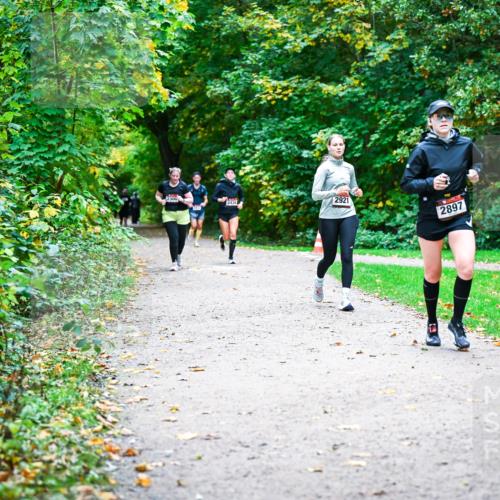 12.10.2025 - Bramfelder Halbmarathon 2025 Dr. Thomas Lammeyer http://msf.ph/oto/9359972 12.10.2025 11:10:07 Laufen 2300, 2438, 2921, 2897 meine-sportfotos.de