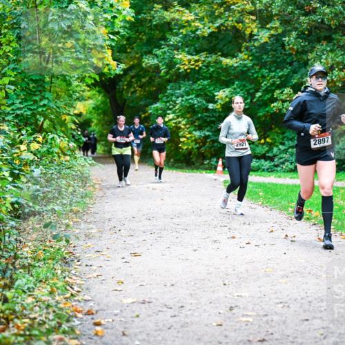 12.10.2025 - Bramfelder Halbmarathon 2025 Dr. Thomas Lammeyer http://msf.ph/oto/9359973 12.10.2025 11:10:07 Laufen 2921, 2897 meine-sportfotos.de