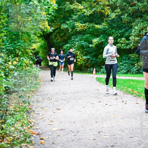 12.10.2025 - Bramfelder Halbmarathon 2025 Dr. Thomas Lammeyer http://msf.ph/oto/9359977 12.10.2025 11:10:08 Laufen 2300, 2438, 2921, 2897 meine-sportfotos.de