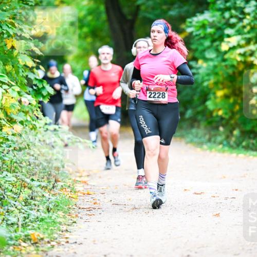12.10.2025 - Bramfelder Halbmarathon 2025 Dr. Thomas Lammeyer http://msf.ph/oto/9360181 12.10.2025 11:11:08 Laufen 2228 meine-sportfotos.de