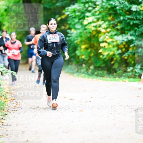 12.10.2025 - Bramfelder Halbmarathon 2025 Dr. Thomas Lammeyer http://msf.ph/oto/9360470 12.10.2025 11:12:34 Laufen 2347 meine-sportfotos.de