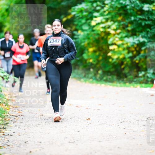 12.10.2025 - Bramfelder Halbmarathon 2025 Dr. Thomas Lammeyer http://msf.ph/oto/9360473 12.10.2025 11:12:34 Laufen 2347 meine-sportfotos.de