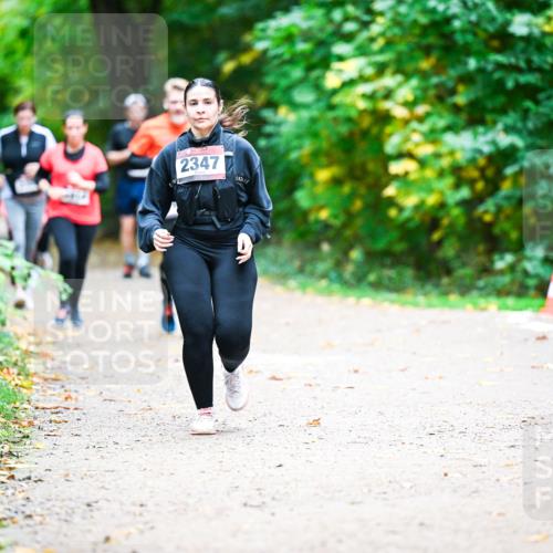 12.10.2025 - Bramfelder Halbmarathon 2025 Dr. Thomas Lammeyer http://msf.ph/oto/9360474 12.10.2025 11:12:34 Laufen 2347 meine-sportfotos.de