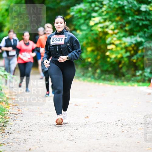 12.10.2025 - Bramfelder Halbmarathon 2025 Dr. Thomas Lammeyer http://msf.ph/oto/9360478 12.10.2025 11:12:35 Laufen 2347 meine-sportfotos.de