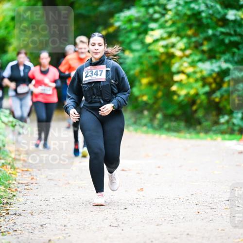 12.10.2025 - Bramfelder Halbmarathon 2025 Dr. Thomas Lammeyer http://msf.ph/oto/9360479 12.10.2025 11:12:35 Laufen 2347 meine-sportfotos.de