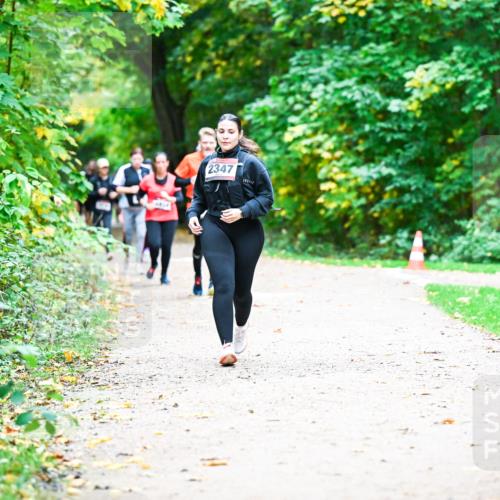 12.10.2025 - Bramfelder Halbmarathon 2025 Dr. Thomas Lammeyer http://msf.ph/oto/9360484 12.10.2025 11:12:36 Laufen 2347 meine-sportfotos.de