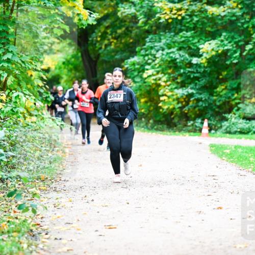 12.10.2025 - Bramfelder Halbmarathon 2025 Dr. Thomas Lammeyer http://msf.ph/oto/9360485 12.10.2025 11:12:36 Laufen 2347 meine-sportfotos.de