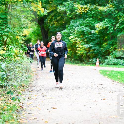12.10.2025 - Bramfelder Halbmarathon 2025 Dr. Thomas Lammeyer http://msf.ph/oto/9360486 12.10.2025 11:12:36 Laufen 2347 meine-sportfotos.de