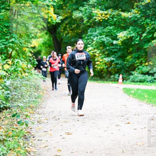 12.10.2025 - Bramfelder Halbmarathon 2025 Dr. Thomas Lammeyer http://msf.ph/oto/9360491 12.10.2025 11:12:37 Laufen 2347 meine-sportfotos.de