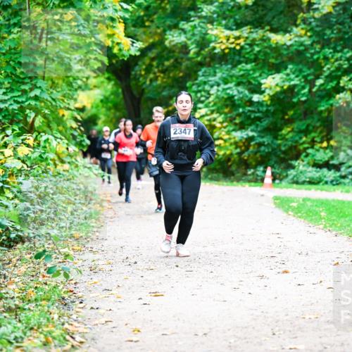 12.10.2025 - Bramfelder Halbmarathon 2025 Dr. Thomas Lammeyer http://msf.ph/oto/9360492 12.10.2025 11:12:37 Laufen 2347 meine-sportfotos.de