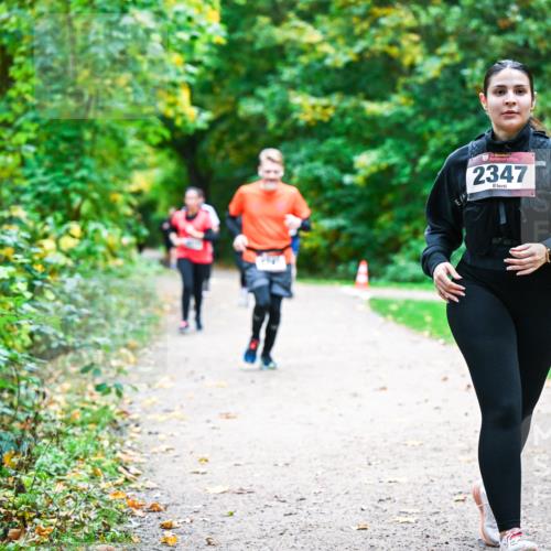12.10.2025 - Bramfelder Halbmarathon 2025 Dr. Thomas Lammeyer http://msf.ph/oto/9360501 12.10.2025 11:12:40 Laufen 2347 meine-sportfotos.de