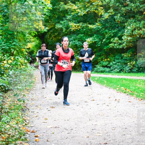 12.10.2025 - Bramfelder Halbmarathon 2025 Dr. Thomas Lammeyer http://msf.ph/oto/9360516 12.10.2025 11:12:43 Laufen 2704, 2387, 2914 meine-sportfotos.de
