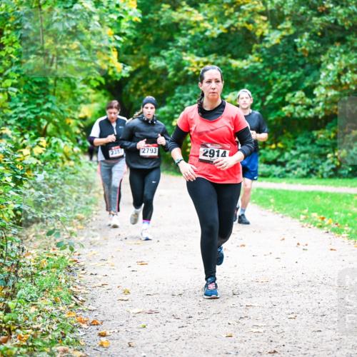 12.10.2025 - Bramfelder Halbmarathon 2025 Dr. Thomas Lammeyer http://msf.ph/oto/9360524 12.10.2025 11:12:44 Laufen 2387, 2793, 2914 meine-sportfotos.de