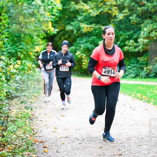 12.10.2025 - Bramfelder Halbmarathon 2025 Dr. Thomas Lammeyer http://msf.ph/oto/9360527 12.10.2025 11:12:45 Laufen 2793, 2914 meine-sportfotos.de