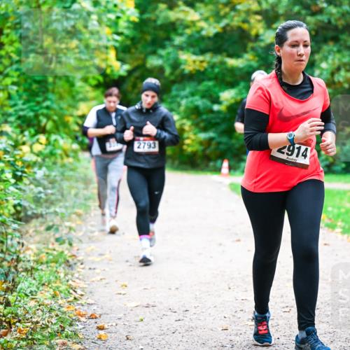 12.10.2025 - Bramfelder Halbmarathon 2025 Dr. Thomas Lammeyer http://msf.ph/oto/9360530 12.10.2025 11:12:45 Laufen 2793, 2914 meine-sportfotos.de