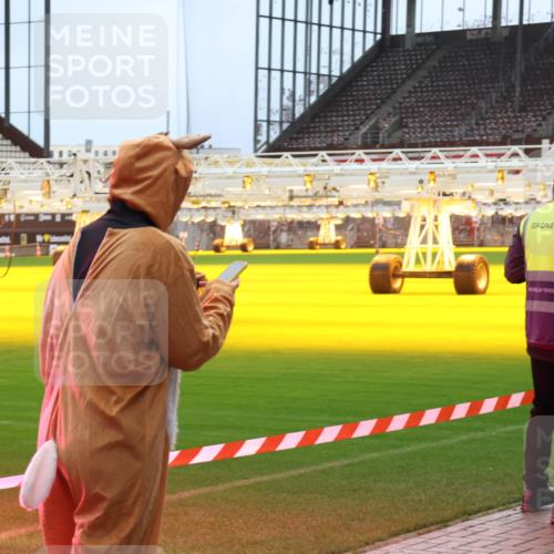 07.12.2025 - St. Pauli X-Mass-Run No. 15 Luisa Fischer http://msf.ph/oto/9380966 07.12.2025 10:43:16 Ziel 296, 519, 563, 598, 604, 625, 1272, 1301, 1358, 1434, 1758, 2012, 2013, 2052, 2053, 2061, 2155, 2157, 2336, 2337, 2621, 2622, 2722, 2802, 2901, 2931, 3381, 3399, 4161, 4394, 4594, 4621, 4857 meine-sportfotos.de