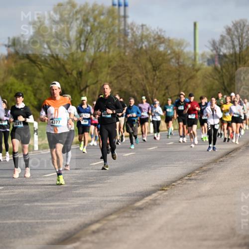 12.04.2026 - 45. Internationalen Wilhelmsburger Insellauf Dr. Thomas Lammeyer http://msf.ph/oto/9433295 12.04.2026 09:17:37 Laufen 5647, 3221, 4377 meine-sportfotos.de
