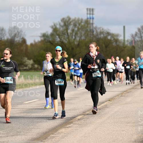 12.04.2026 - 45. Internationalen Wilhelmsburger Insellauf Dr. Thomas Lammeyer http://msf.ph/oto/9435606 12.04.2026 09:25:08 Laufen 146, 61, 147, 2866, 2644, 2807, 2800 meine-sportfotos.de