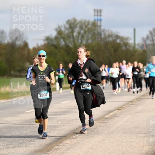 12.04.2026 - 45. Internationalen Wilhelmsburger Insellauf Dr. Thomas Lammeyer http://msf.ph/oto/9435615 12.04.2026 09:25:09 Laufen 2806, 2800, 2807 meine-sportfotos.de