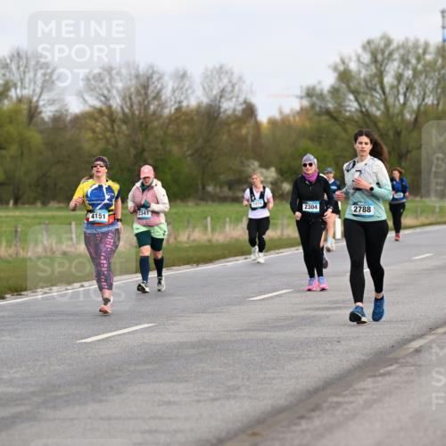 12.04.2026 - 45. Internationalen Wilhelmsburger Insellauf Dr. Thomas Lammeyer http://msf.ph/oto/9437153 12.04.2026 09:29:50 Laufen 3474, 4151, 2341, 3058, 2304, 2788 meine-sportfotos.de
