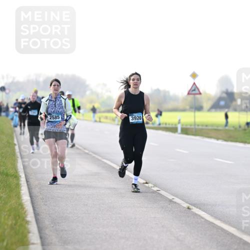 12.04.2026 - 45. Internationalen Wilhelmsburger Insellauf Dr. Thomas Lammeyer http://msf.ph/oto/9449267 12.04.2026 10:38:02 Laufen 2585, 3920 meine-sportfotos.de