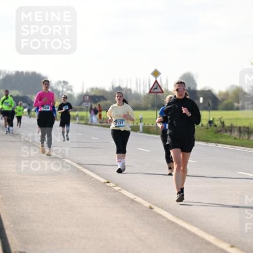 12.04.2026 - 45. Internationalen Wilhelmsburger Insellauf Dr. Thomas Lammeyer http://msf.ph/oto/9449755 12.04.2026 10:39:53 Laufen 3644, 2435, 2137 meine-sportfotos.de
