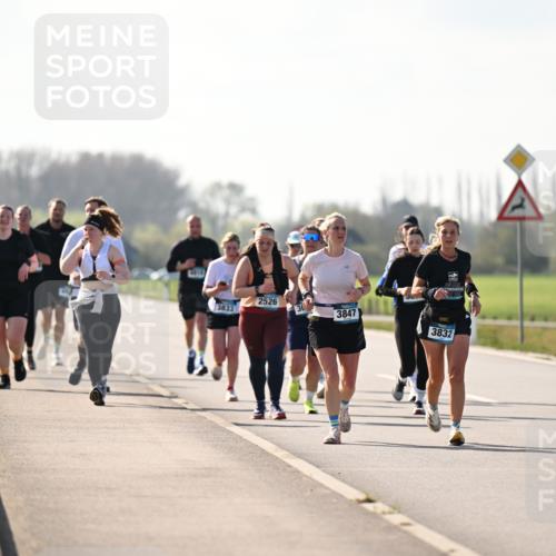 12.04.2026 - 45. Internationalen Wilhelmsburger Insellauf Dr. Thomas Lammeyer http://msf.ph/oto/9450198 12.04.2026 10:41:36 Laufen 2526, 3833, 3847, 3832 meine-sportfotos.de