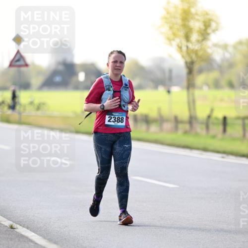 12.04.2026 - 45. Internationalen Wilhelmsburger Insellauf Dr. Thomas Lammeyer http://msf.ph/oto/9451258 12.04.2026 10:48:43 Laufen 2388 meine-sportfotos.de