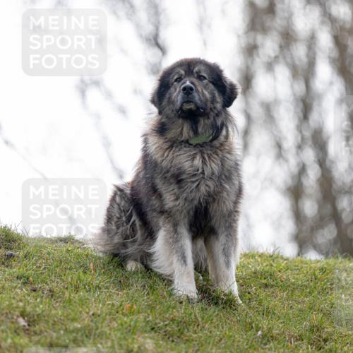 12.04.2026 - 45. Internationalen Wilhelmsburger Insellauf Michael Strokosch http://msf.ph/oto/9457198 12.04.2026 09:27:32 Laufen  meine-sportfotos.de