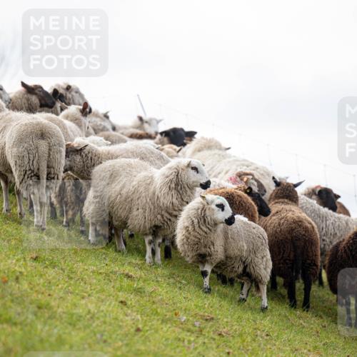 12.04.2026 - 45. Internationalen Wilhelmsburger Insellauf Michael Strokosch http://msf.ph/oto/9457200 12.04.2026 09:27:42 Laufen  meine-sportfotos.de