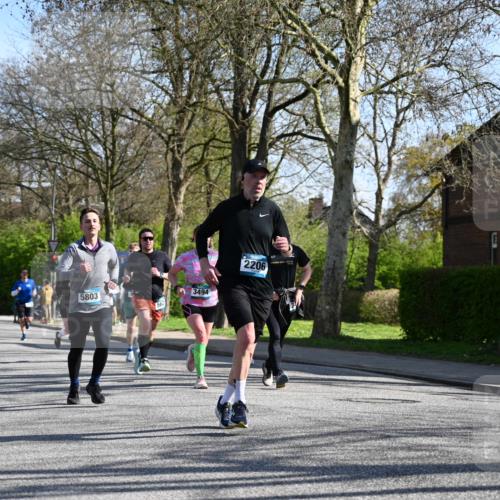 12.04.2026 - 45. Internationalen Wilhelmsburger Insellauf J. Mangold http://msf.ph/oto/9461689 12.04.2026 10:46:45 Ziel 5562, 3484, 4331, 3553, 3713, 3860, 5538, 4706, 4700, 5803, 2206, 5421, 5626, 3493, 3494, 3010, 3854, 2393, 2845, 3332, 3349, 4297, 3830, 3098, 5445, 4992, 3450, 5054 meine-sportfotos.de