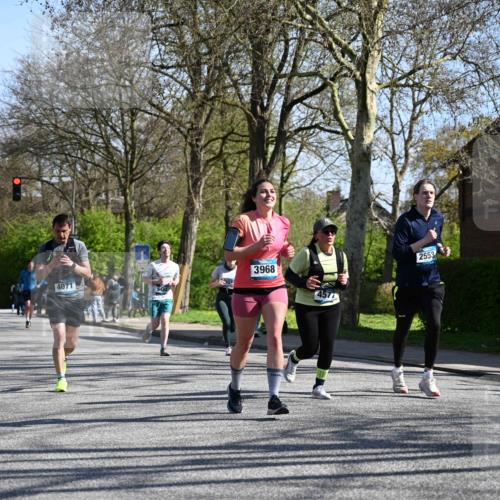 12.04.2026 - 45. Internationalen Wilhelmsburger Insellauf J. Mangold http://msf.ph/oto/9465584 12.04.2026 10:58:27 Ziel 3568, 4352, 4215, 4394, 3665, 3968, 4577, 5703, 3142, 5468, 3140, 4071, 2553, 2989, 3825, 5615, 3150, 2269, 2269 meine-sportfotos.de