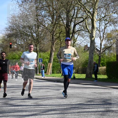 12.04.2026 - 45. Internationalen Wilhelmsburger Insellauf J. Mangold http://msf.ph/oto/9467679 12.04.2026 11:06:21 Ziel 2330, 3460, 4564, 3790, 2495, 3570, 2862, 2863, 3570, 2862, 2863, 5720 meine-sportfotos.de