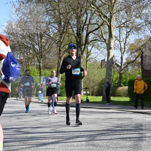 12.04.2026 - 45. Internationalen Wilhelmsburger Insellauf J. Mangold http://msf.ph/oto/9469087 12.04.2026 11:13:45 Ziel 2527, 2526, 2726, 2410, 3330, 2486, 3202, 4548, 4548, 2404, 4982 meine-sportfotos.de