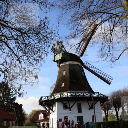 12.04.2026 - 45. Internationalen Wilhelmsburger Insellauf Yannick Fuchs http://msf.ph/oto/9470400 12.04.2026 09:05:59 Laufen  meine-sportfotos.de