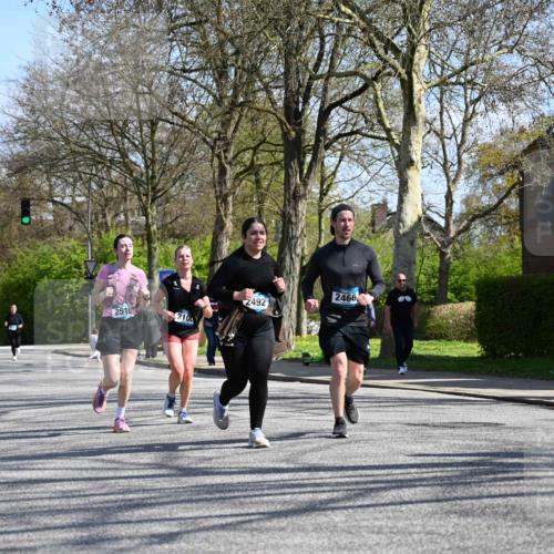 12.04.2026 - 45. Internationalen Wilhelmsburger Insellauf J. Mangold http://msf.ph/oto/9470551 12.04.2026 11:21:36 Ziel 3808, 3537, 3205, 2588, 2518, 2108, 2492, 2466, 4699, 2146, 4813, 3579 meine-sportfotos.de