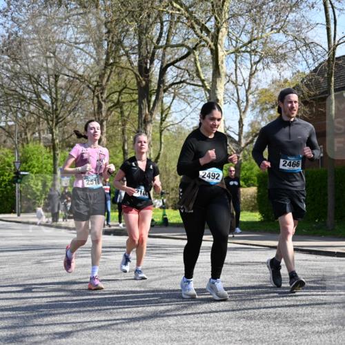 12.04.2026 - 45. Internationalen Wilhelmsburger Insellauf J. Mangold http://msf.ph/oto/9470586 12.04.2026 11:21:38 Ziel 3537, 3205, 2588, 2518, 2108, 2492, 2466, 4699, 2146, 4813, 3579 meine-sportfotos.de