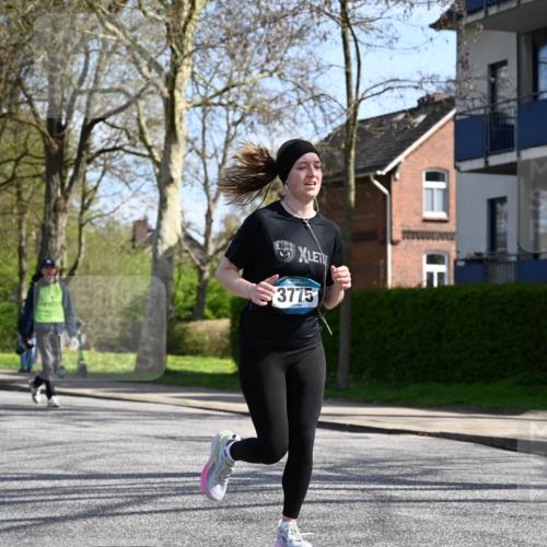 12.04.2026 - 45. Internationalen Wilhelmsburger Insellauf J. Mangold http://msf.ph/oto/9471362 12.04.2026 11:25:32 Ziel 2025, 2542, 3168, 3775, 3253, 2207 meine-sportfotos.de